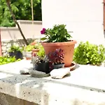 Stinjan Elda * Pula