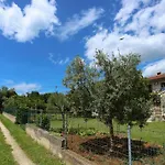 Stinjan Elda