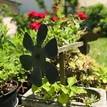 Apartman Stinjan Elda